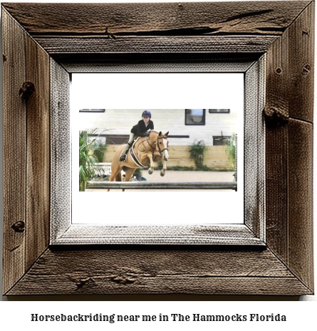 horseback riding near me in The Hammocks, Florida